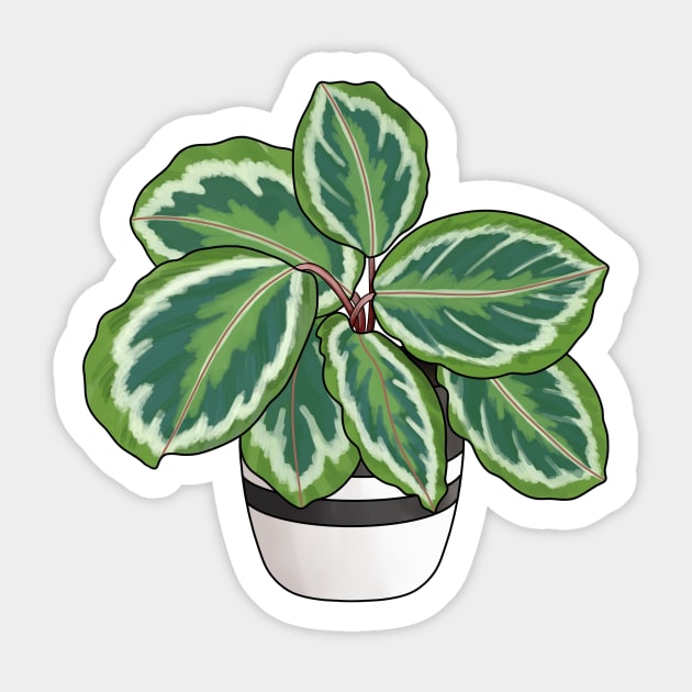 Calathea Sticker by NicoleHarvey